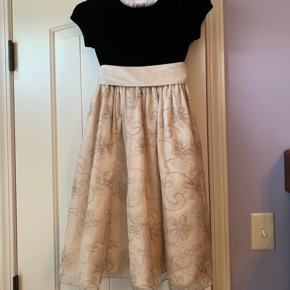 Cinderella Black Velvet Bodice, Multi-Layer Skirt Including Tulle Girl’s Size 6X